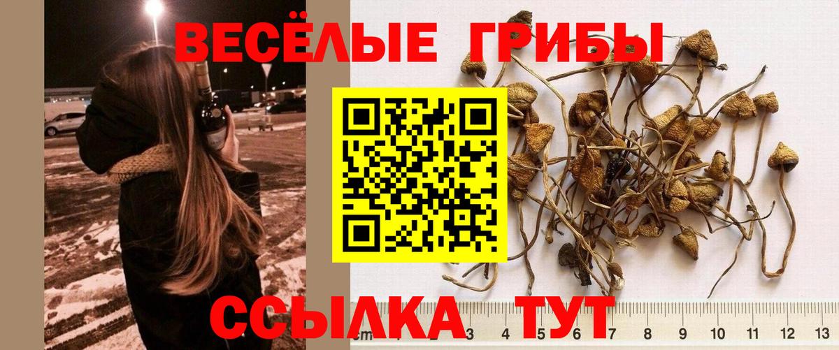 Галлюциногенные грибы ЛСД Комсомольск-на-Амуре