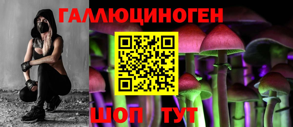 Комсомольск-на-Амуре  Галлюциногенные грибы Cubensis  Вход с VPN  Галлюциногенные грибы Psilocybe 